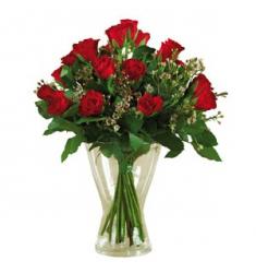 12 Red Roses Long Stems (IT)