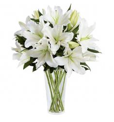 White Lilies (μόνο για Ελλάδα)