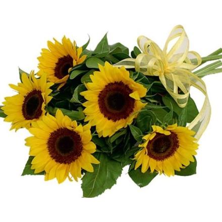 Sunflower bq