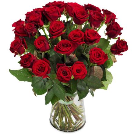 Red Rose bouquet (B)