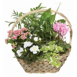 Basket flower garden
