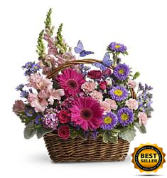 Country Basket Blooms (Αμερική-Καναδάς)