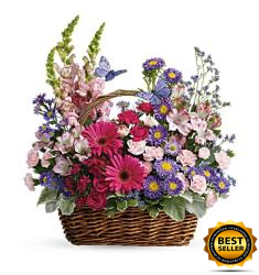 Country Basket Blooms (Αμερική-Καναδάς)