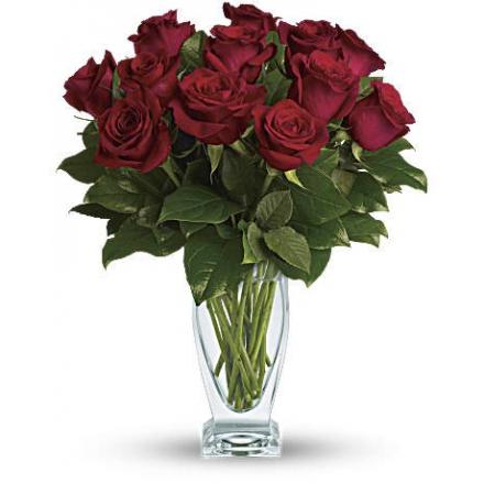 Rose Classique - Dozen Red Roses (Αμερική-Καναδάς)