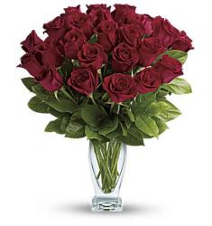 Rose Classique - Dozen Red Roses (Αμερική-Καναδάς)