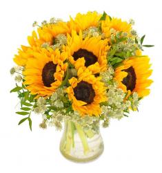 Sunny sunflower (μόνο για Ελλάδα)