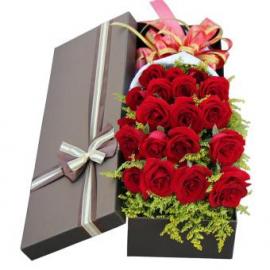 18 red roses (CHN)