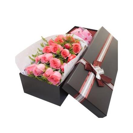 18 pink roses (CHN)