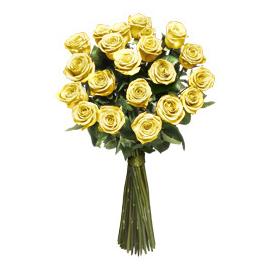 Yellow long stem roses