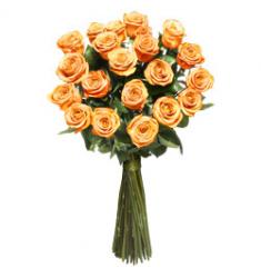 Orange long stem roses