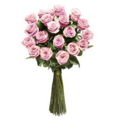 Pink long stem roses