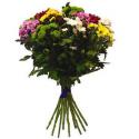 Bouquet of chrysanthemums mix