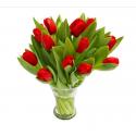 Ravishing Red Tulips (G)