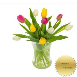 Mixed Tulip Bouquet  (NL)