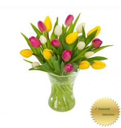 Mixed Tulip Bouquet (NL)