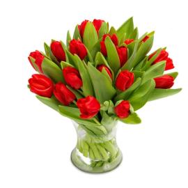 Ravishing Red Tulips