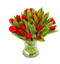 Ravishing Red Tulips (Only for Greece)