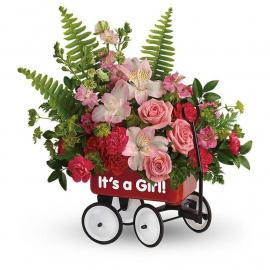 Welcome Beautiful Bouquet-Girl  (USA)