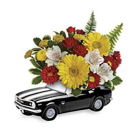 '67 Chevy Camaro Bouquet (Αμερική)