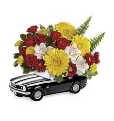 '67 Chevy Camaro Bouquet (Αμερική)