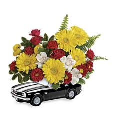 '67 Chevy Camaro Bouquet (Αμερική)