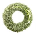 Calla Lily Wreath (UK)