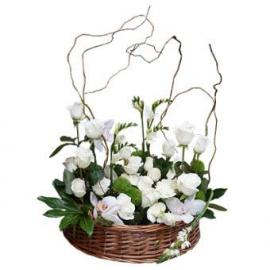 Σύνθεση  με λευκά λουλούδια  (SR)