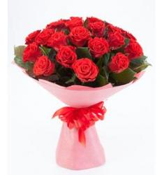 15 red roses 60 cm (MD)