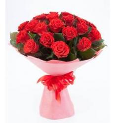 15 roses 50 cm (MD)