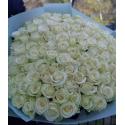 101 white roses (MD)