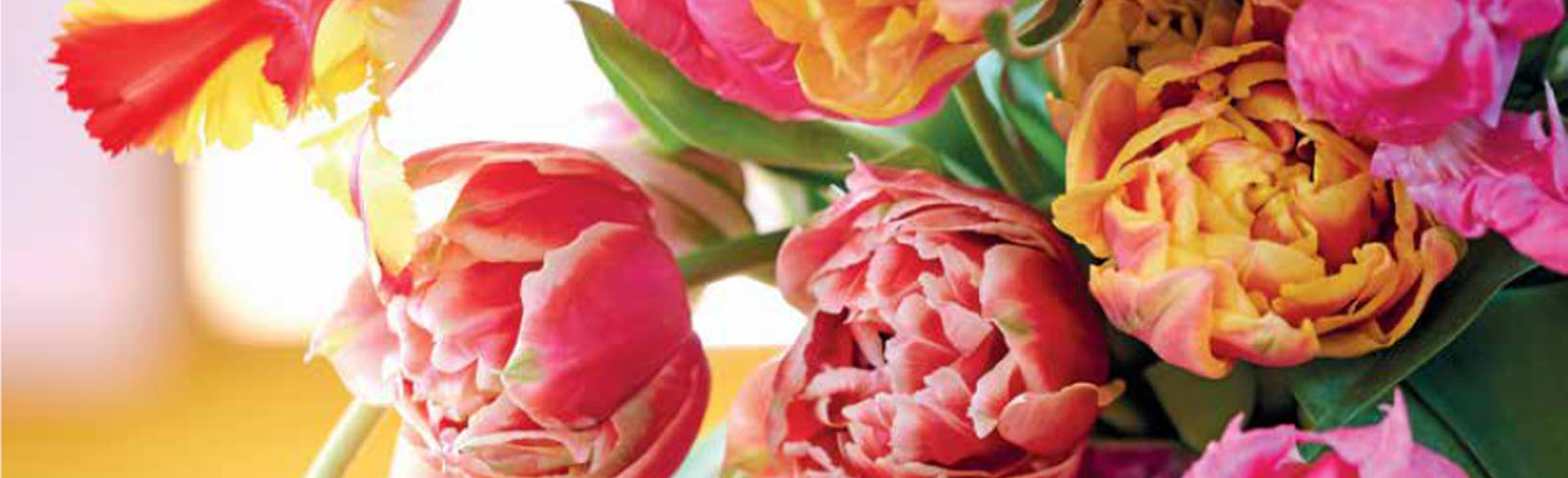 apostoli-louloudion-athina-cosmoflora