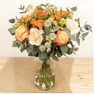 Apricot Μπουκέτο (F) Apricot Μπουκέτο (F)