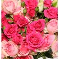 Μπουκέτο με ροζ τριαντάφυλλα (IT)