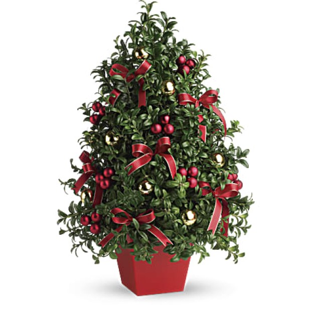 Deck The Halls Δενδράκι (USA-CANADA)