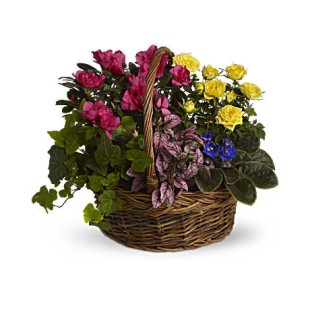 Blooming Garden Basket Blooming Garden Basket