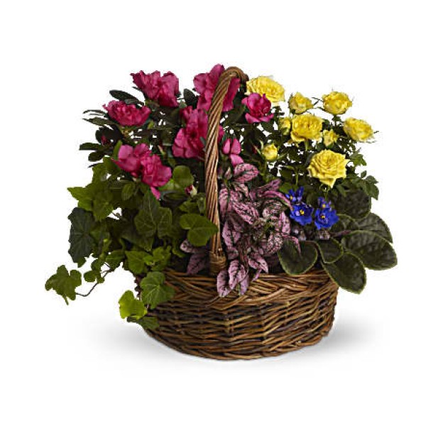 Blooming Garden Basket