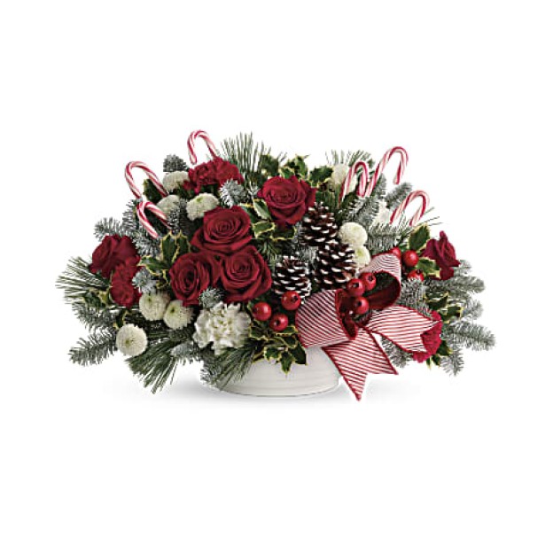 Jolly Candy Cane Σύνθεση  (USA-CANADA)