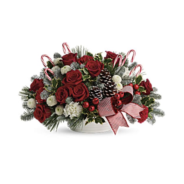 Jolly Candy Cane Σύνθεση  (USA-CANADA)