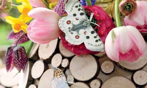 Γνωρίστε τα λουλούδια & φυτά του Μαΐου