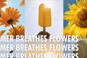 Καλοκαίρι, η θάλασσα της λουλουδένιας έμπνευσης  Καλοκαίρι, η θάλασσα της λουλουδένιας έμπνευσης