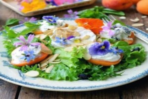 Λουλούδια που Τρώγονται – Βρώσιμα Λουλούδια & Γεύσεις | Cosmoflora Λουλούδια που Τρώγονται – Βρώσιμα Λουλούδια & Γεύσεις | Cosmoflora