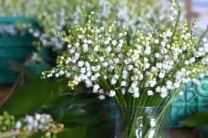 Μιγκέ το λουλούδι για τον Μάϊο Μιγκέ το λουλούδι για τον Μάϊο