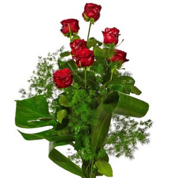 7 Red Roses Long Stems (IT)