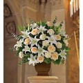 Loving Lilies and Roses 