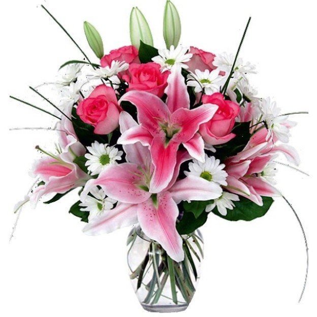 Lovely Pink Lovely Pink