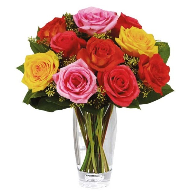 Multicolor roses  