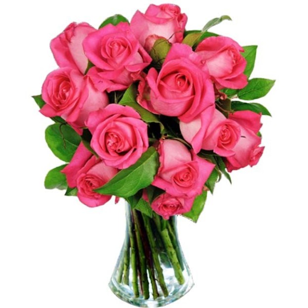 Pink Roses Pink Roses
