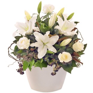 Κασπώ γεμάτο αισθήματα  Κασπώ γεμάτο αισθήματα