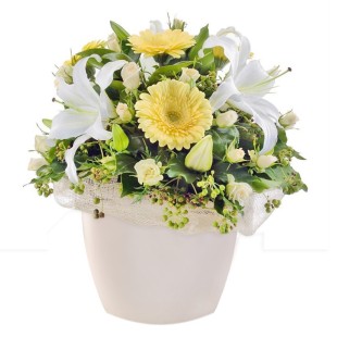 Σύνθεση με Οριεντάλ σε Κασπώ 