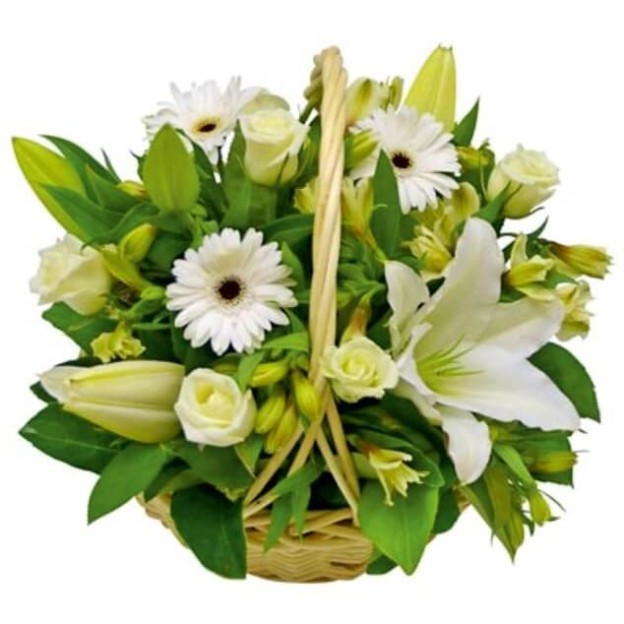 Eco-Green Basket 